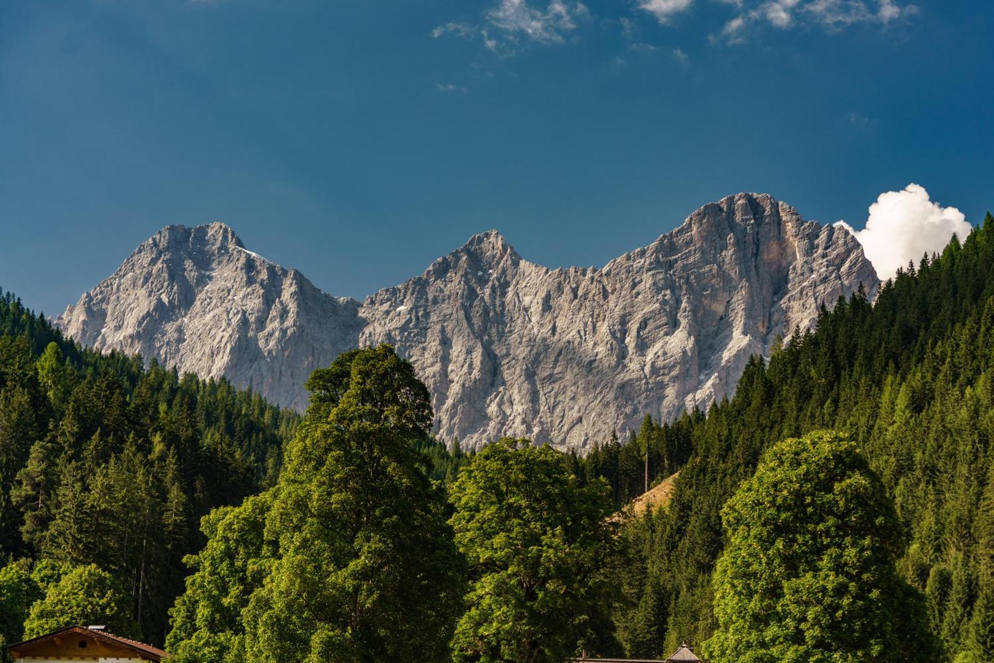 Alpenrose Boutique Chalet Gretl Ramsau am Dachstein Exterior foto