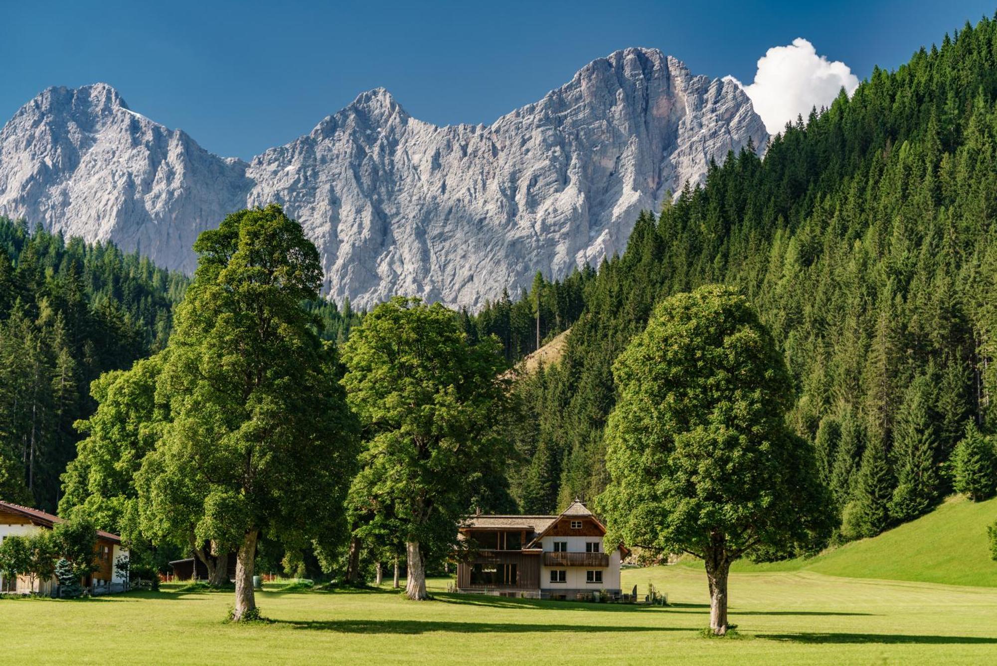 Alpenrose Boutique Chalet Gretl Ramsau am Dachstein Exterior foto